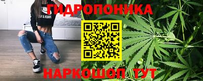 МДПВ Новокубанск