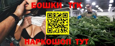 шишки Обь