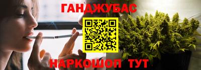 шишки Обь
