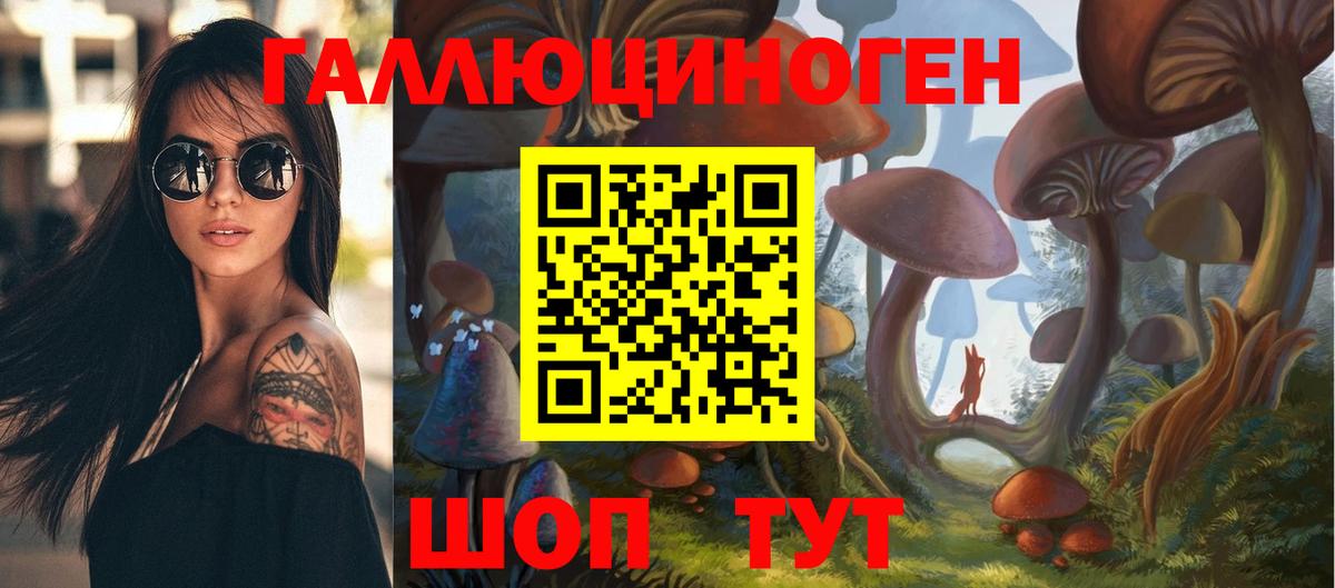 Псилоцибиновые грибы GOLDEN TEACHER  Вход с VPN  Тамбов 