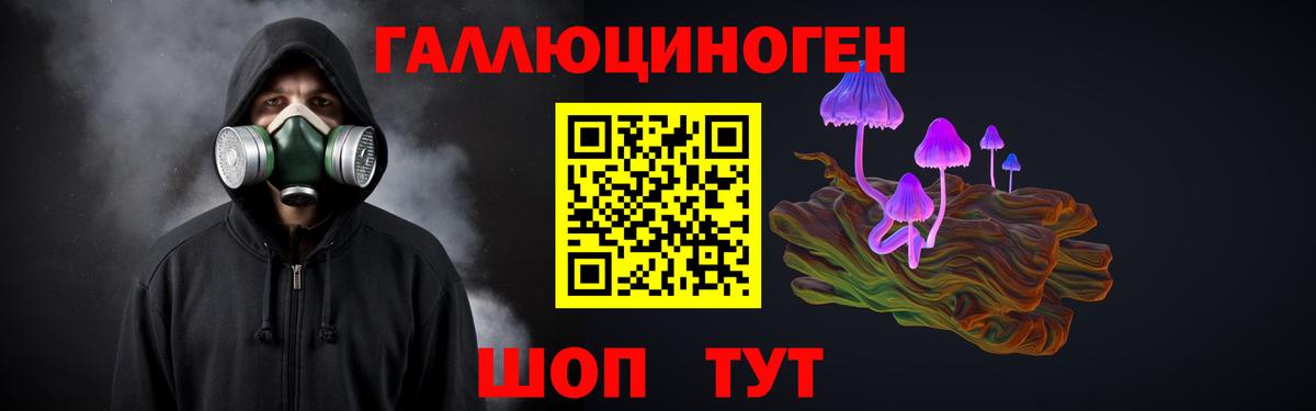 Псилоцибиновые грибы GOLDEN TEACHER Тамбов